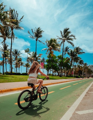 Bicyclist and palm trees