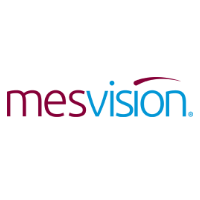 Mesvision