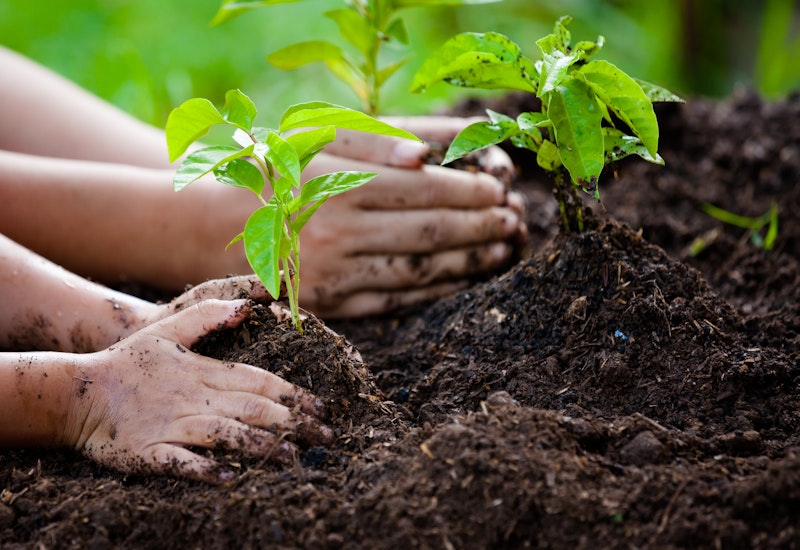 community planting together