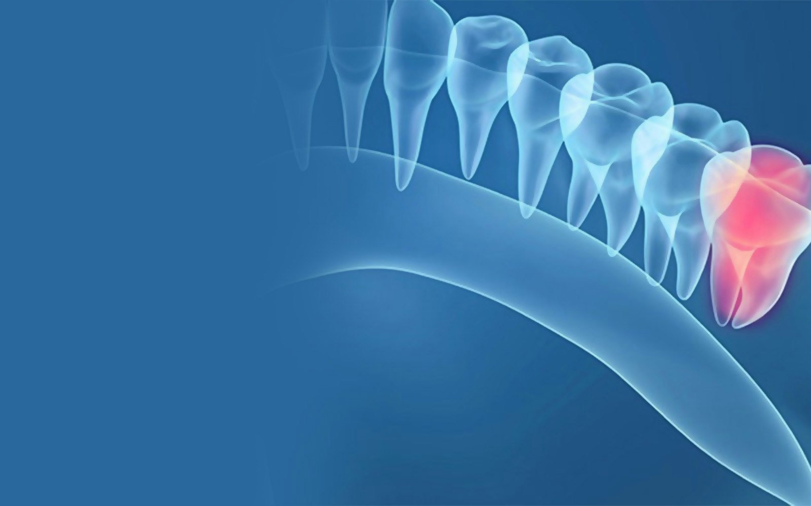 Illustration of teeth in the jaw