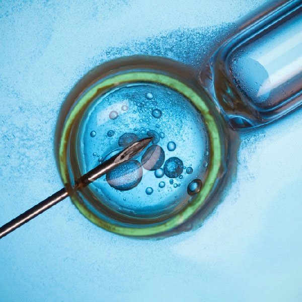 View of needle and egg under microscope