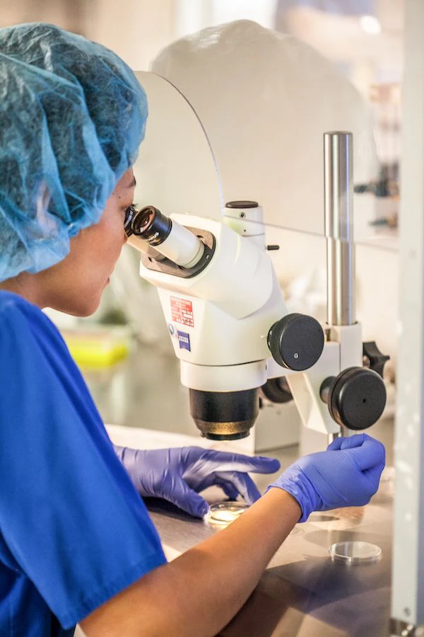 woman looking through a microscope