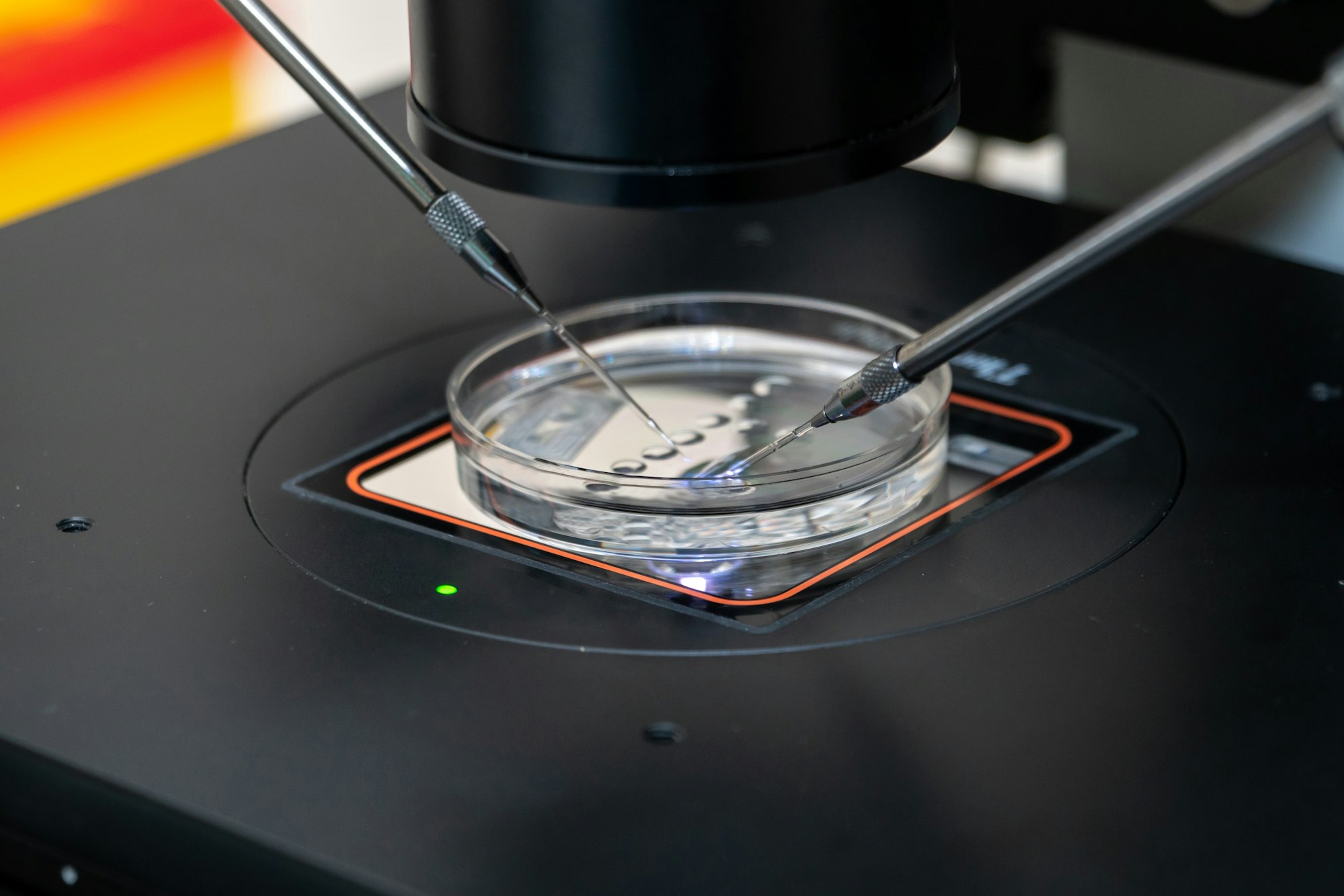 Close-up of IVF lab equipment with needle over petri dish