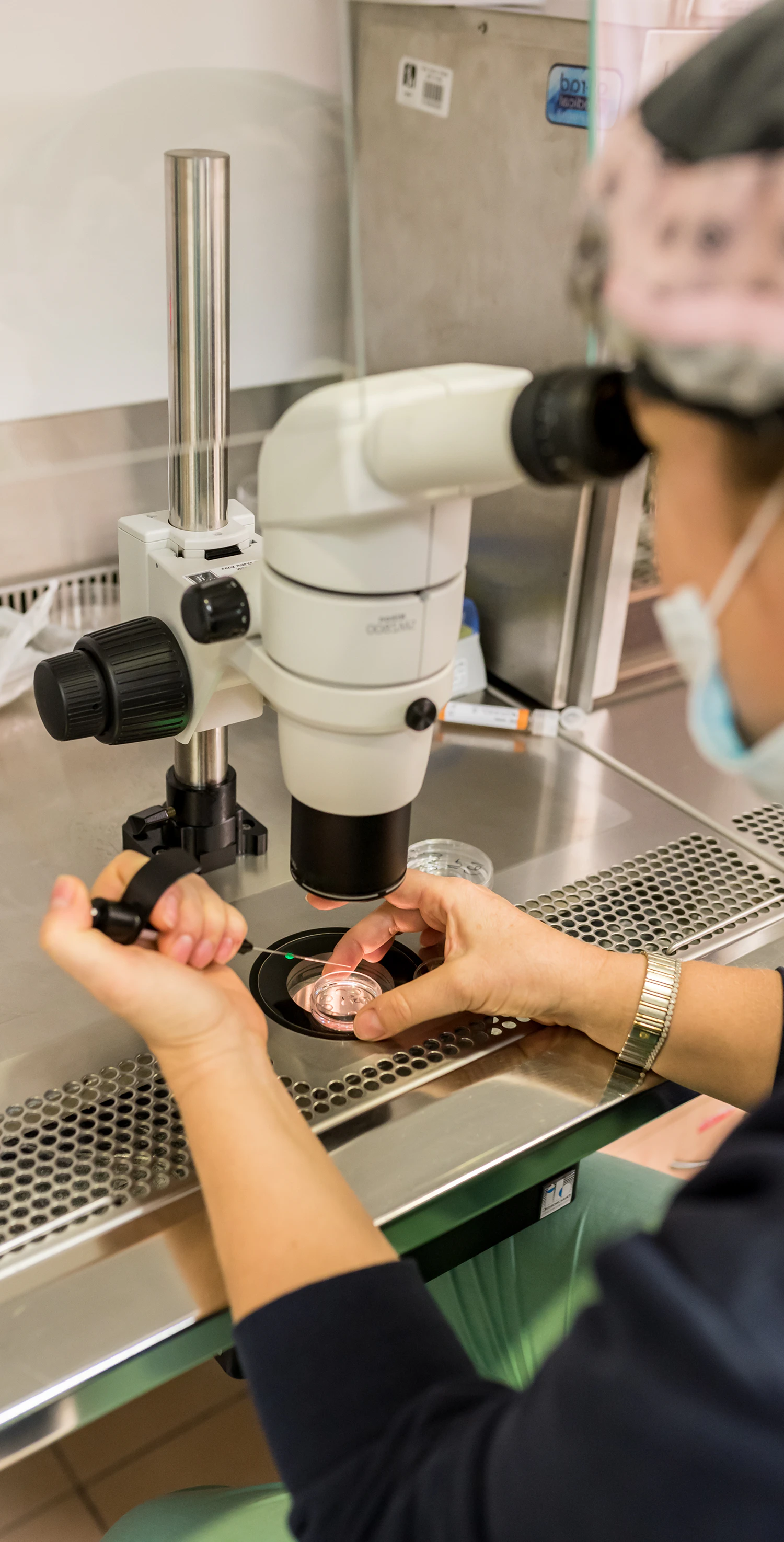 woman working in IVF lab