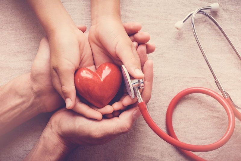 A stethoscope held up to a model heart held in people's hands