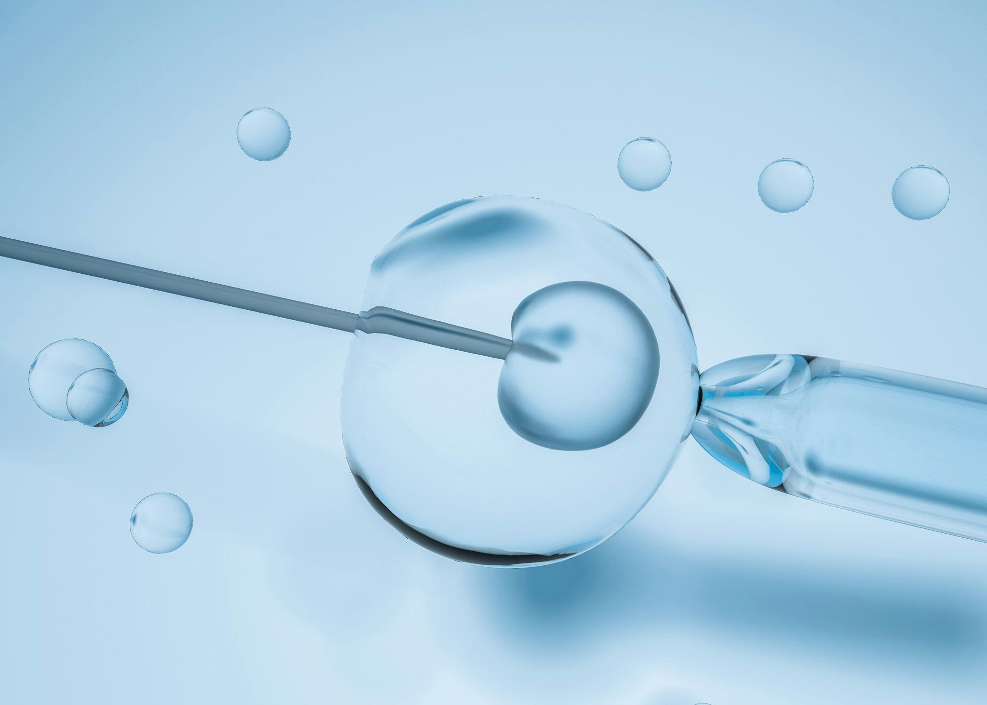 Eggs and needle under a microscope