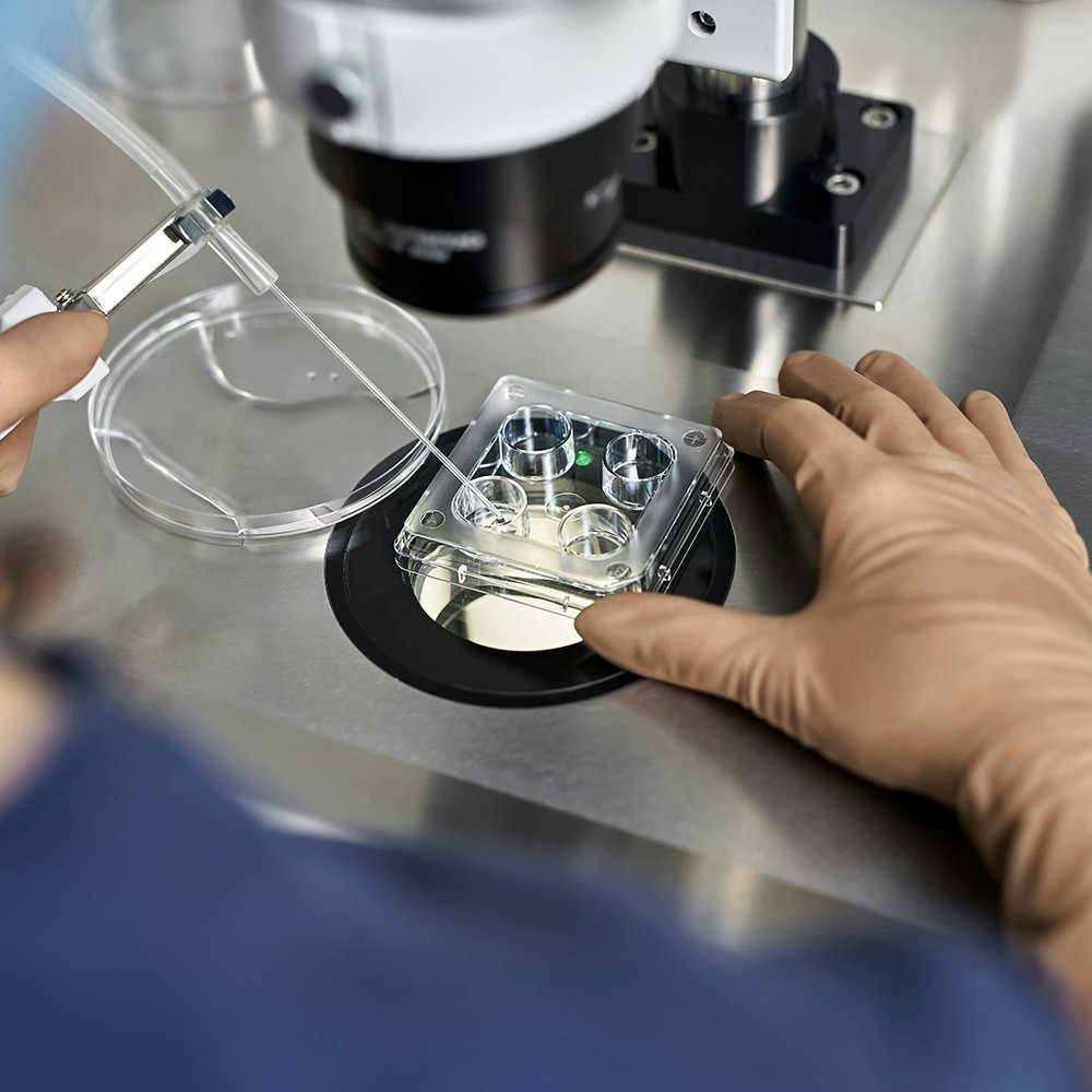 Intracytoplasmic sperm injection