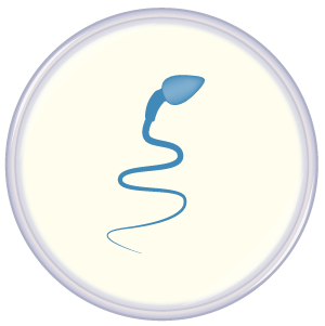 Single sperm in petri dish