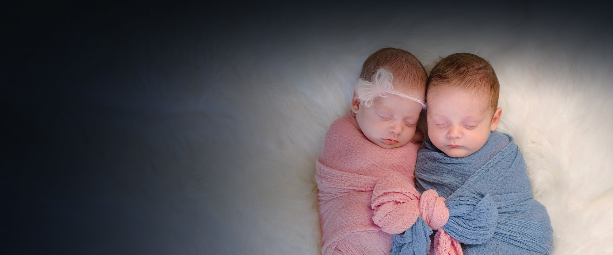 Egg freezing timeline cover
