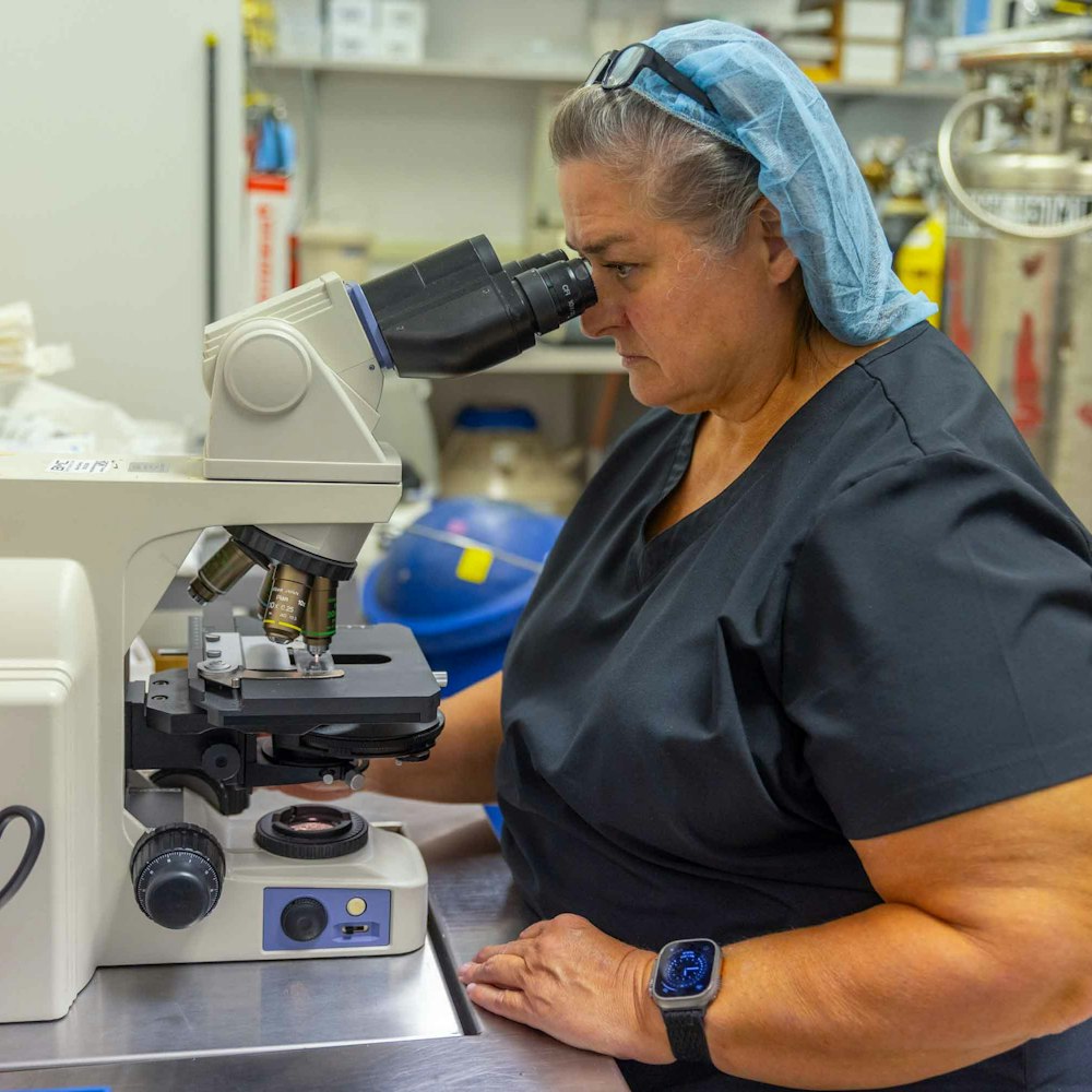 Lab technician looking through a microscope