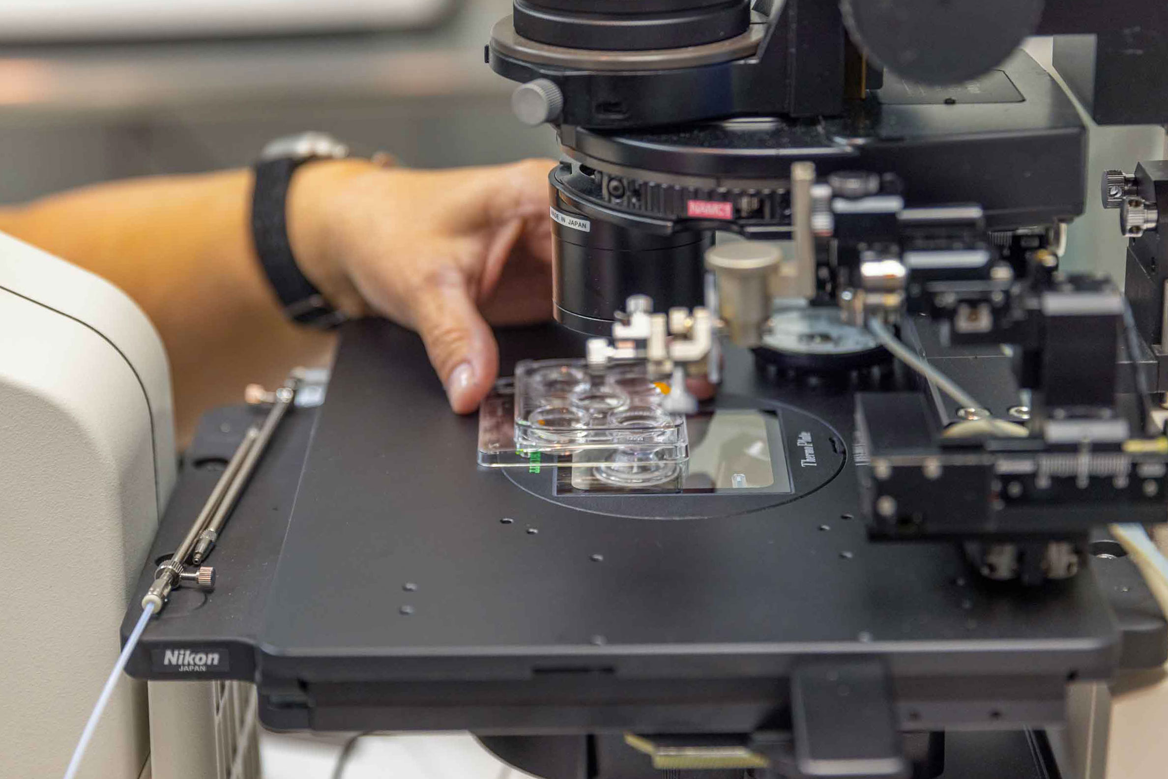 male fertility testing technology