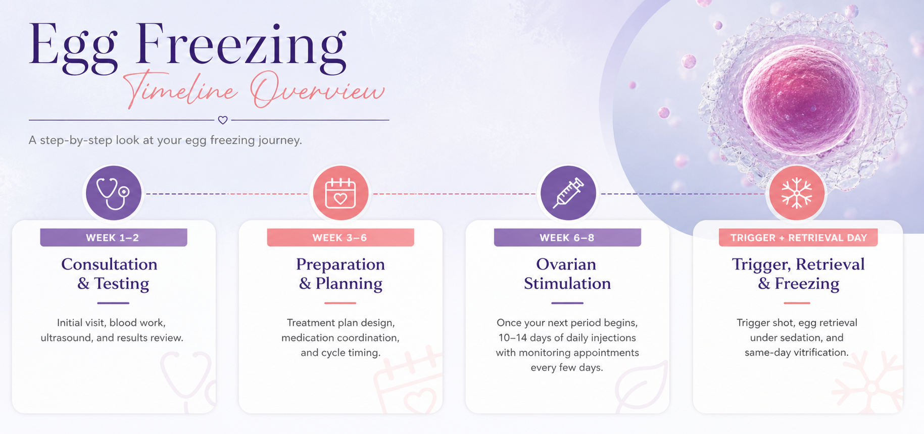 Egg freezing timeline overview: consultation and testing (weeks 1-2), preparation and planning (weeks 3-6), ovarian stimulation (weeks 6-8), and trigger, retrieval, and freezing day