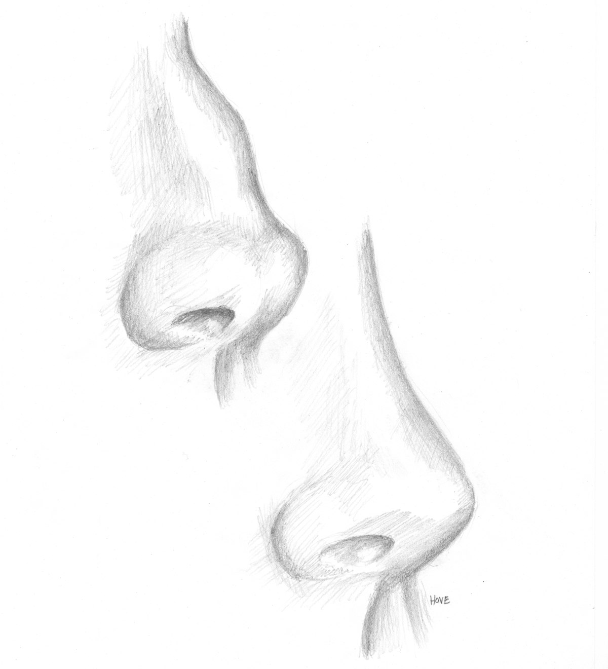 Nose illustrations