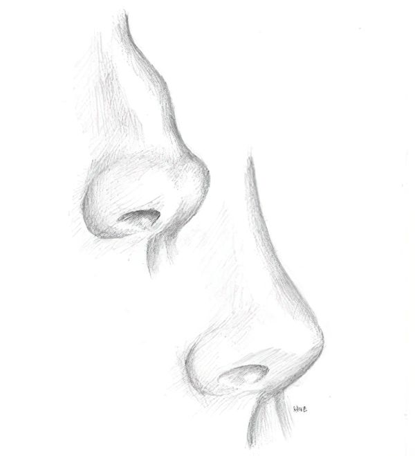 hand-drawn illustration by Dr. Hove