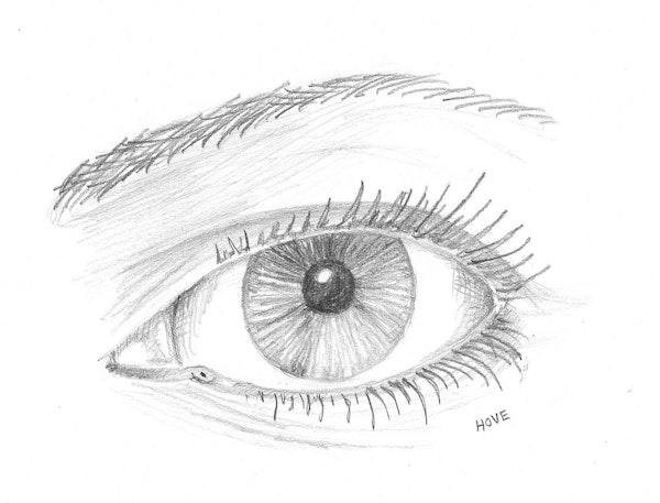 Eye sketch by Dr. Hove