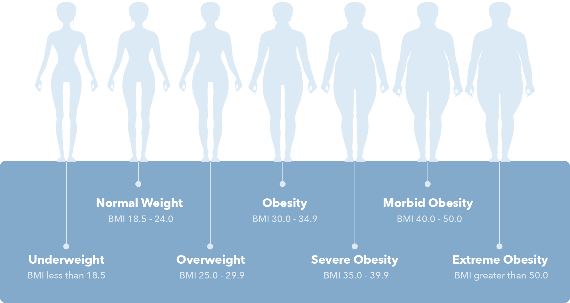 BMI Chart