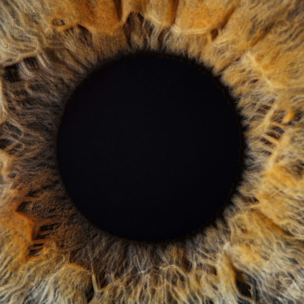 Close up of eye