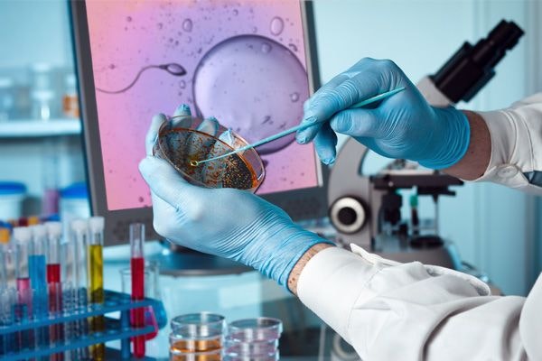 technician performing ivf