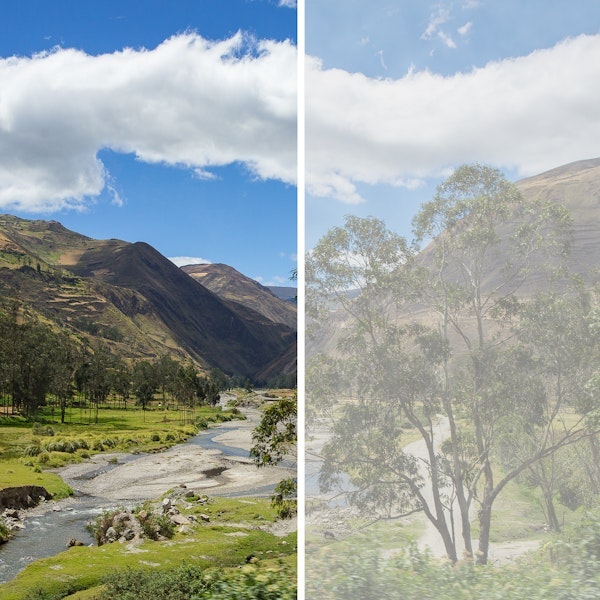 View with and without cataracts