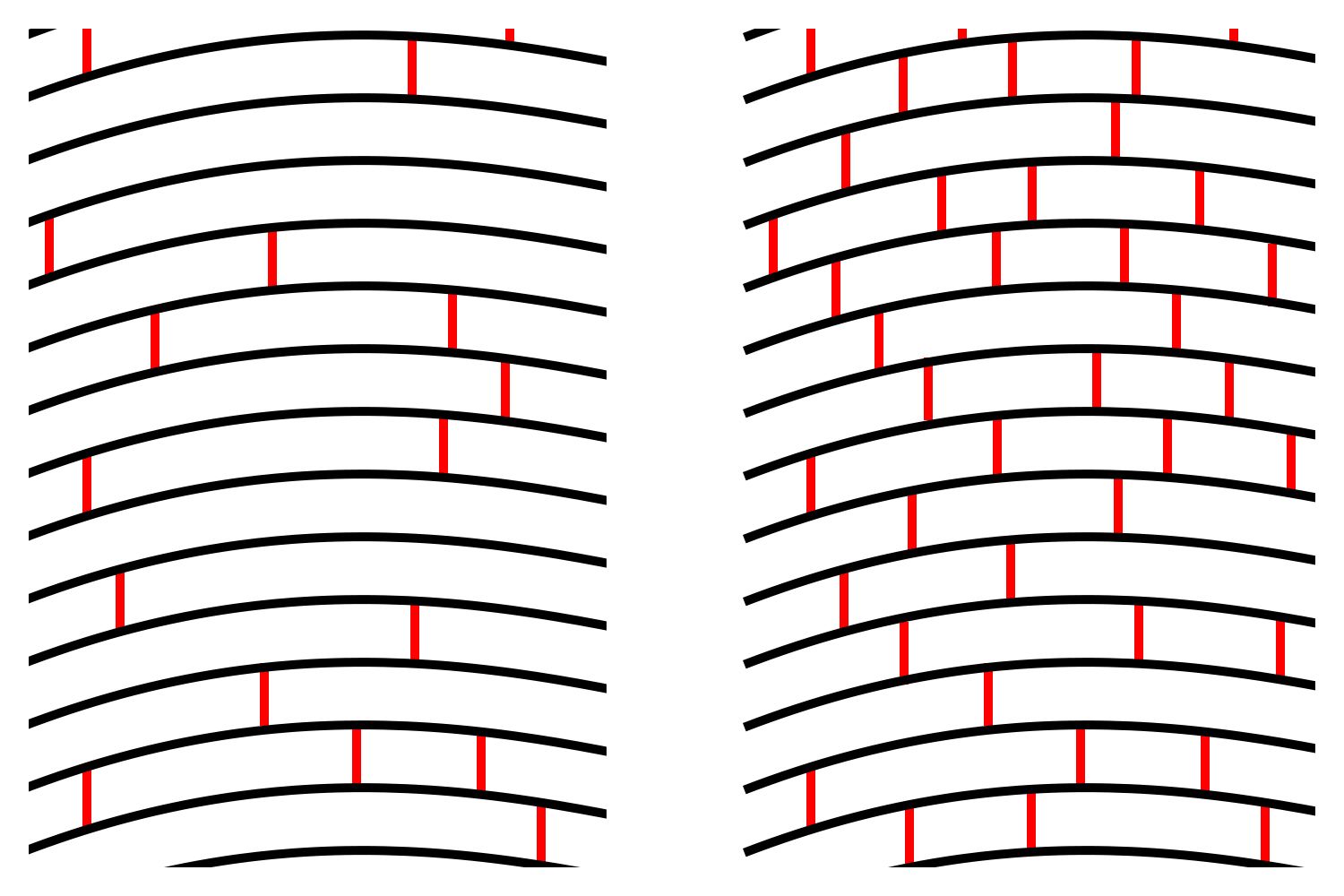 illustration of collagen cross-linking