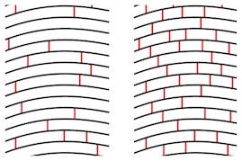 illustration of collagen cross-linking