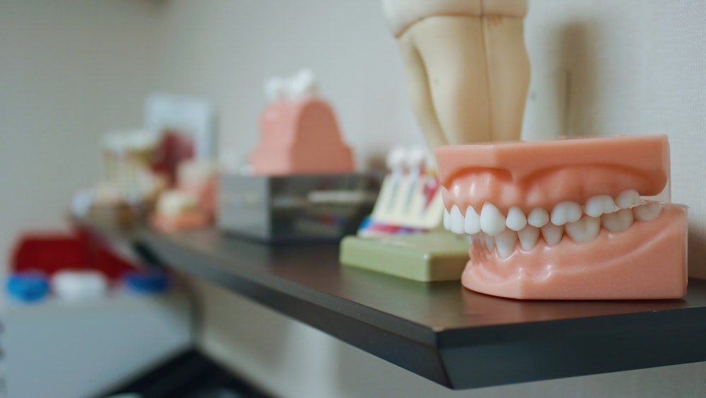 teeth model