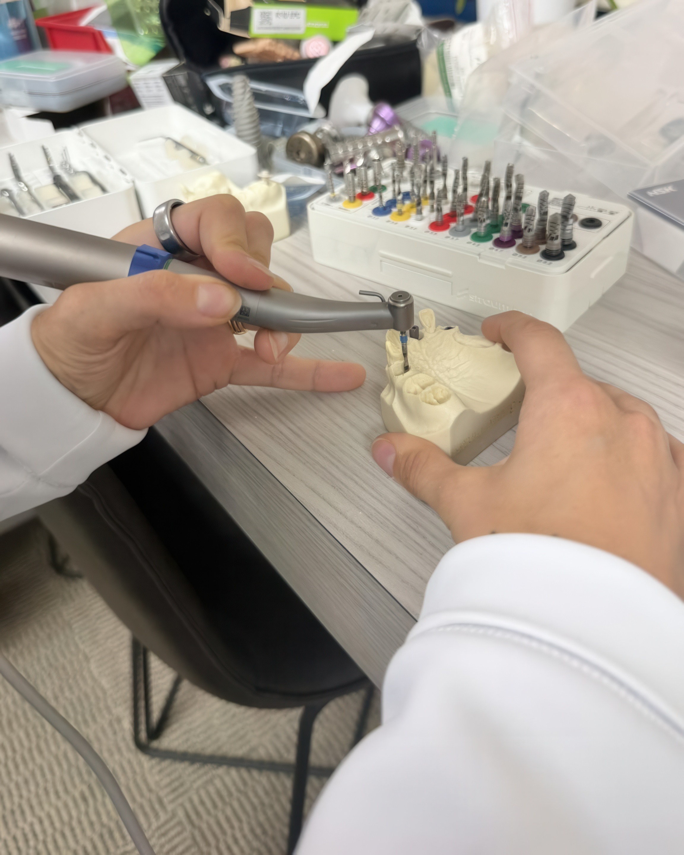 Real photo of dentist with tooth model