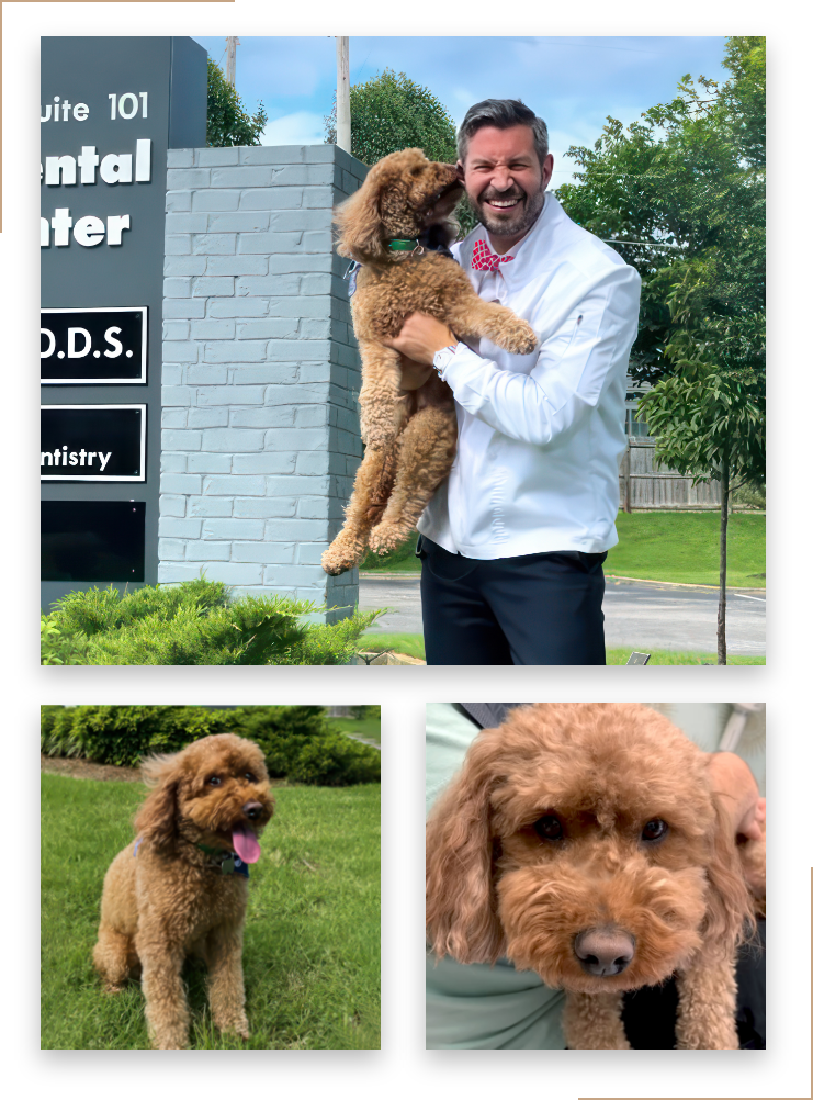 collage of Hank, the office dog