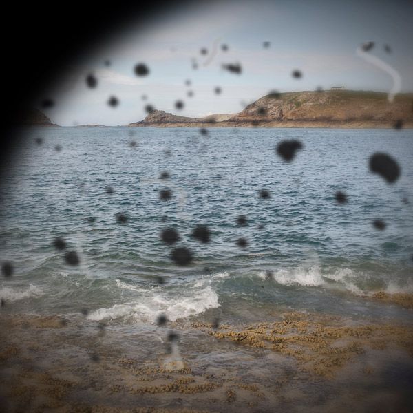 dark spots in vision