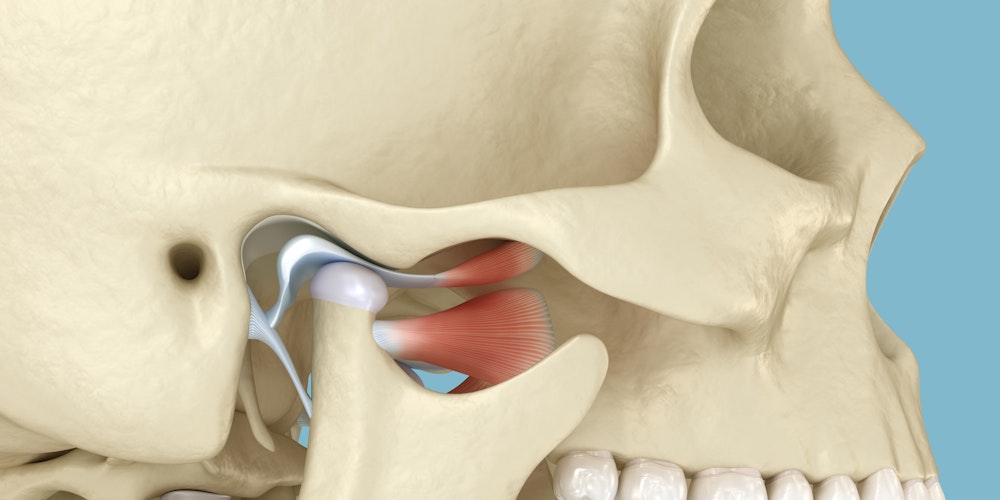 Close-up of the temporomandibular joints