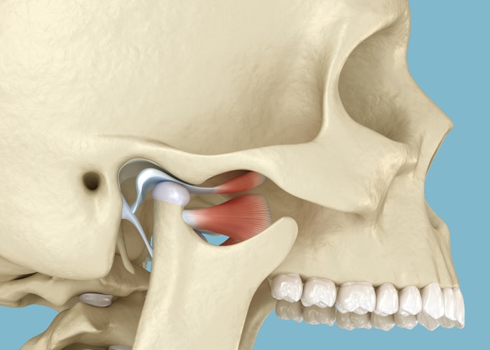 Close-up of the temporomandibular joints