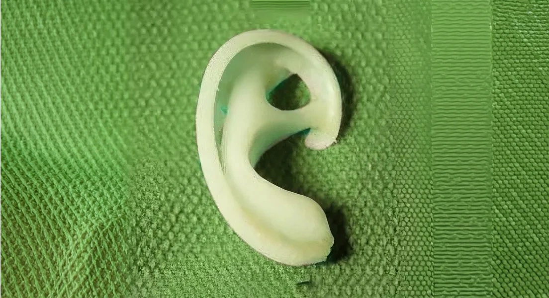 biocompatible porous polyethylene framework of ear on green background