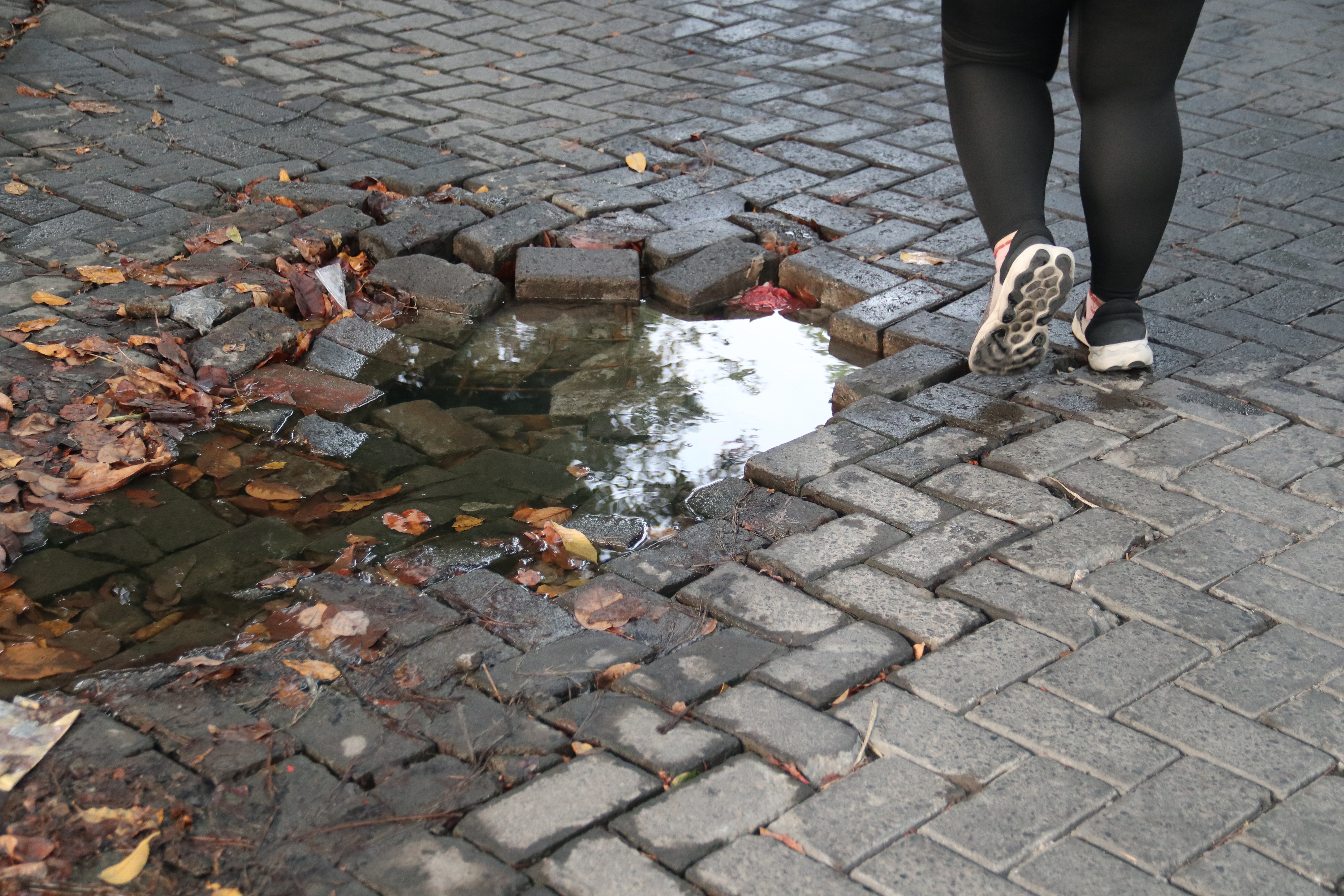 Poorly maintained walkway