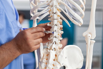 Doctor pointing at the spinal column of a skeleton model