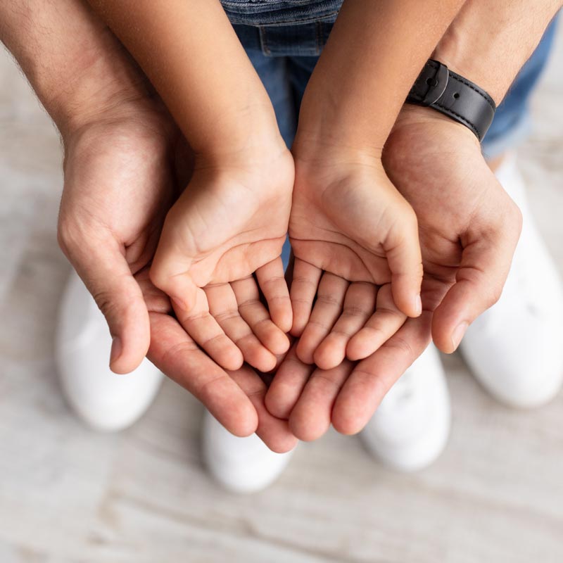 Adult Hands holding Children's Hands