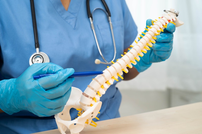 Nurse pointing at a spinal cord model