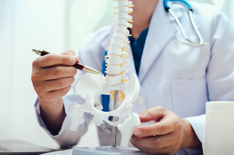 doctor pointing to a spinal cord model