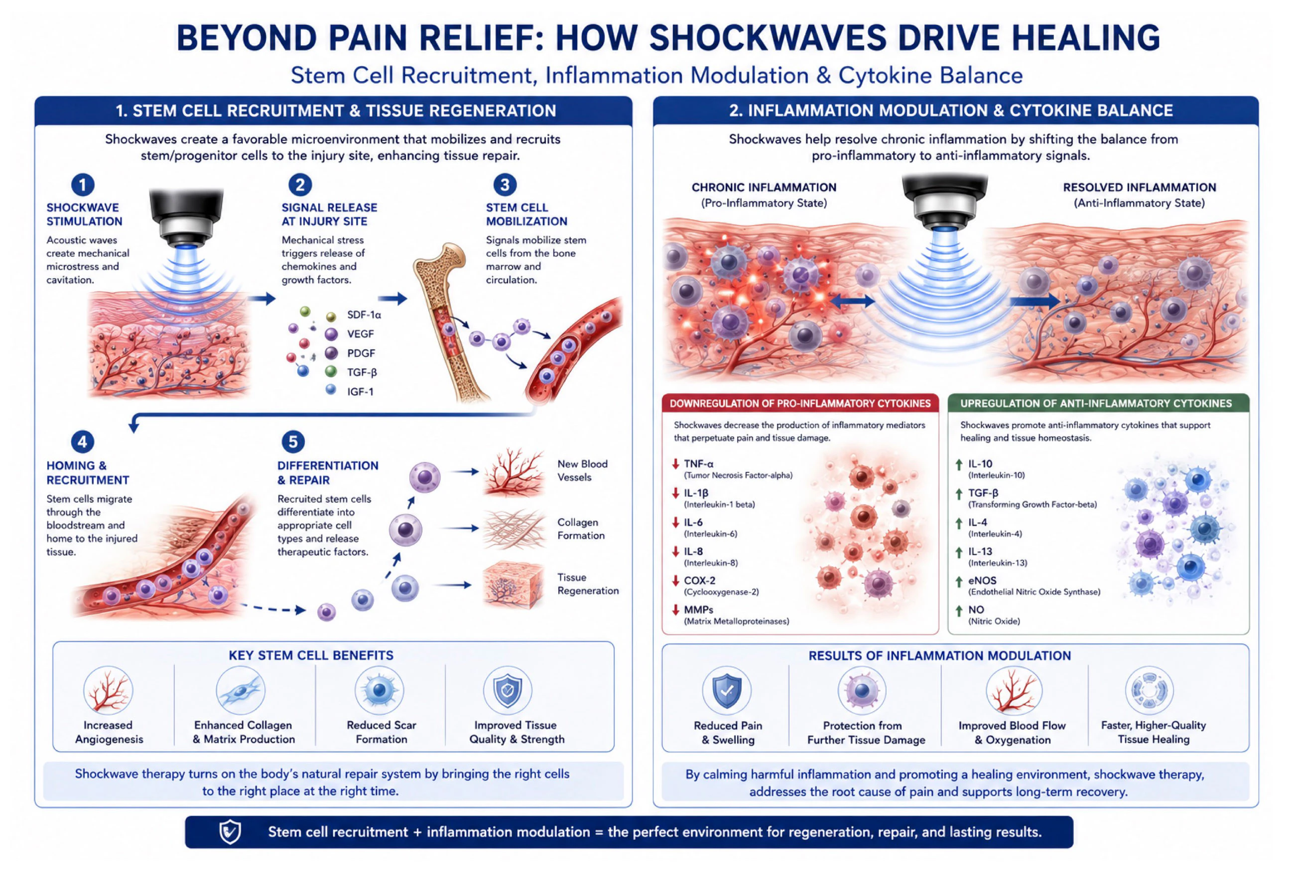 OMNIWave shockwave infographic