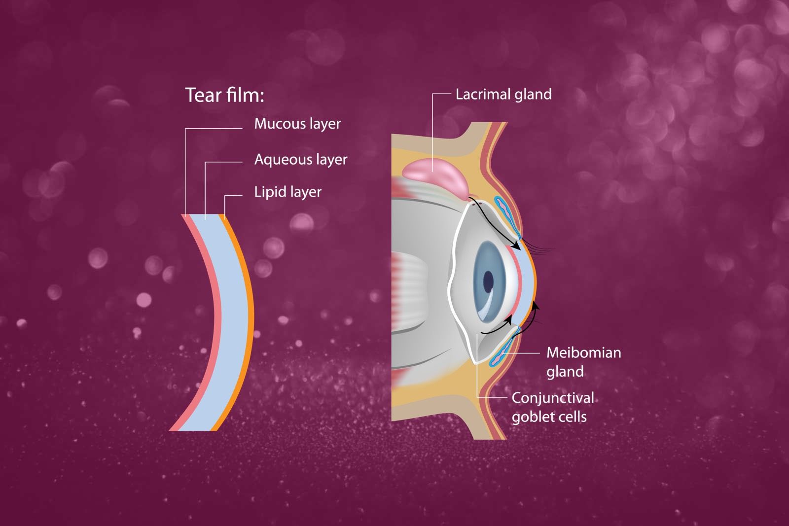 Dry Eyes New Jersey West Orange Nj Northern Nj Dry Eye Treatment Laser Vision Correction Center Of New Jersey Dry Eyes New Jersey West Orange Nj Northern Nj Dry Eye Treatment Laser Vision Correction Center Of New Jersey