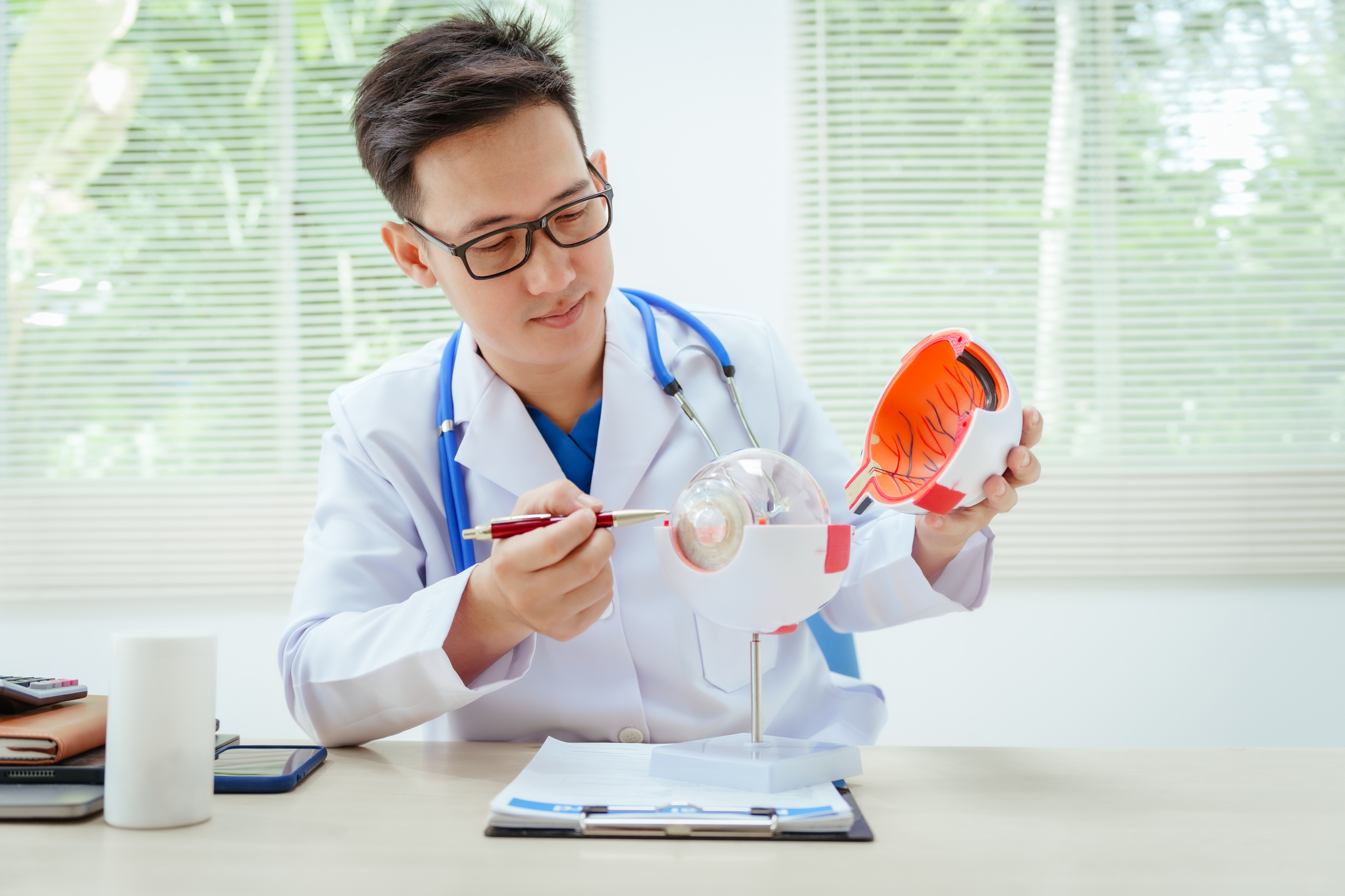 Optometrist looking at eye model