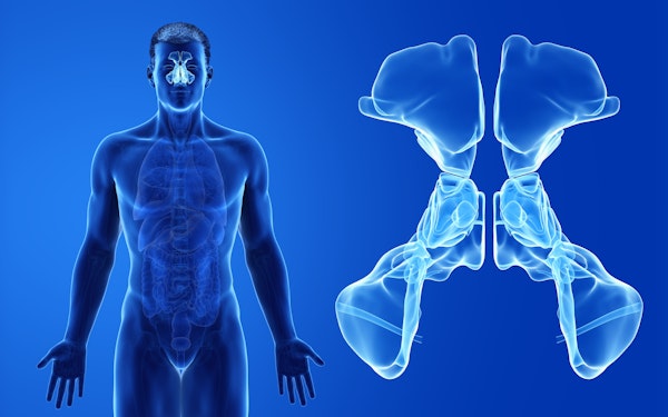 Digital 3d render of a human body highlighting the location of the sinuses and a closer view of the sinuses isolated