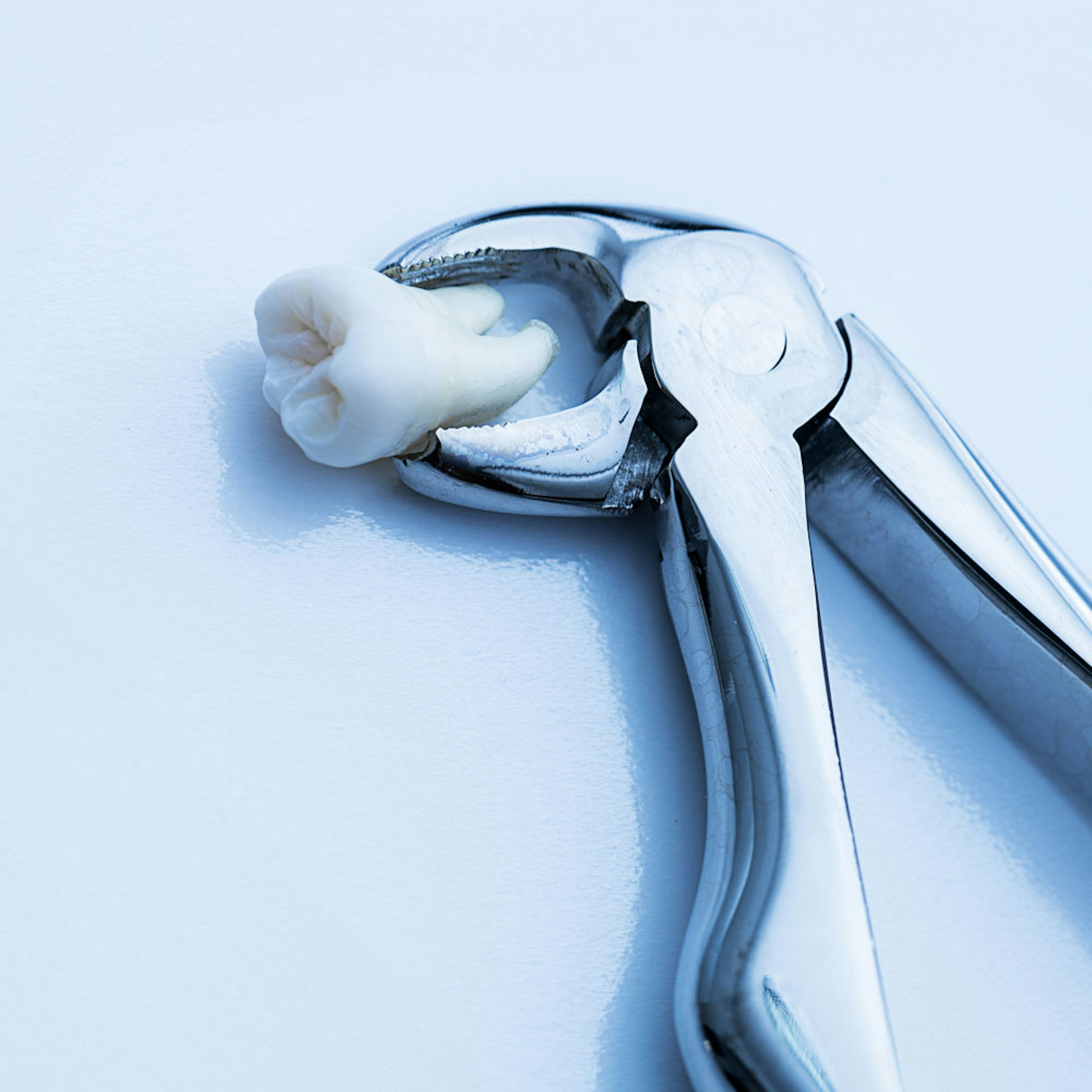 Dental tool holding tooth