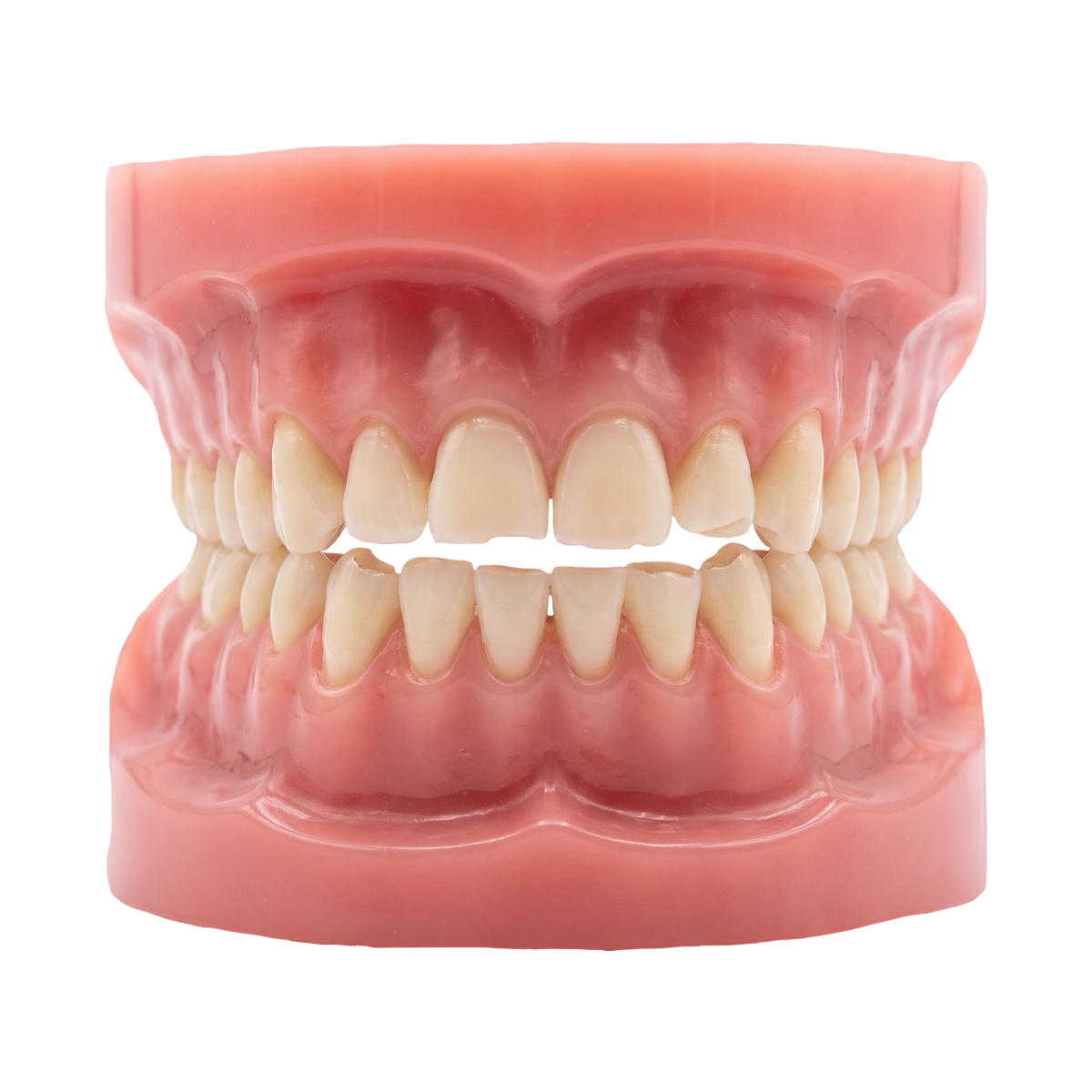 Teeth grinding icon