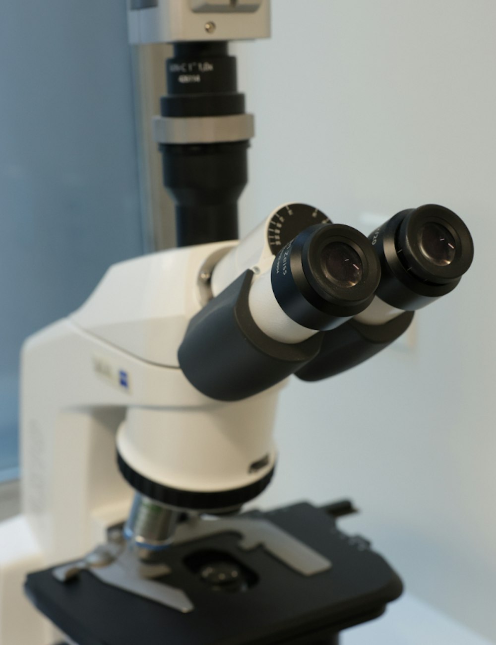 dental microscope