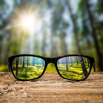 Blurry woods background with clear view through glasses