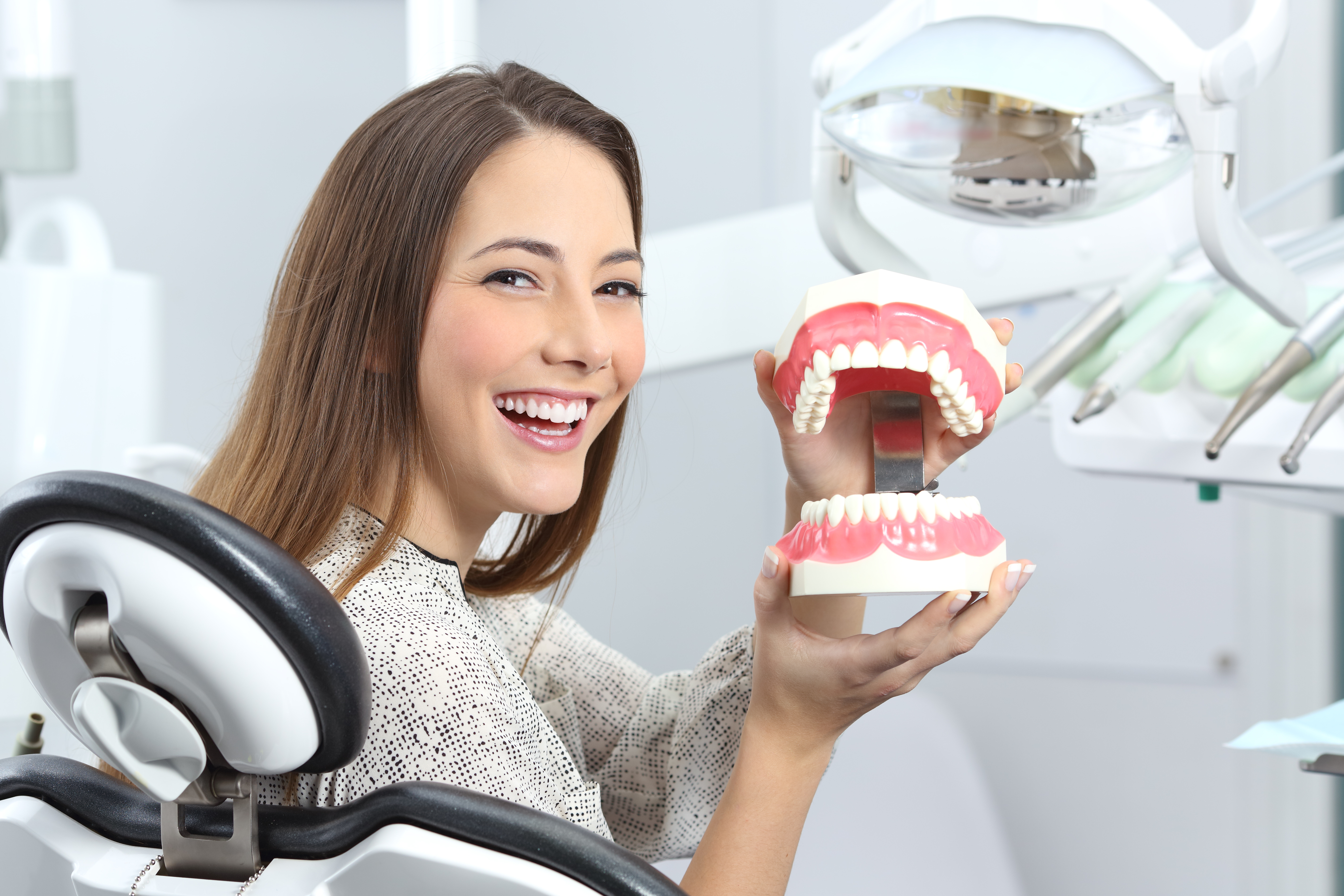 【裁断済み】ＨＯＭＥ　ＤＥＮＴＩＳＴ　ＰＲＯＦＥＳＳＩＯＮＡＬ 1〜5 Tooth Cabinet - Fricke Dental
