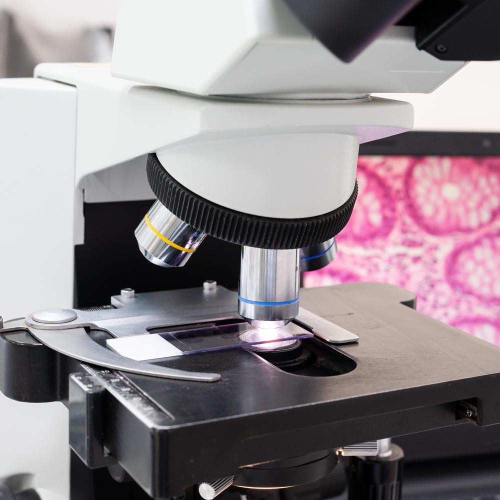 Microscope examining slide