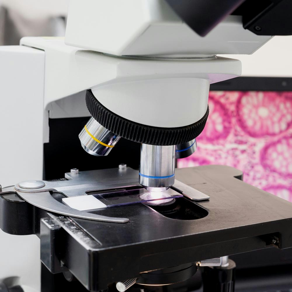 Microscope examining slide