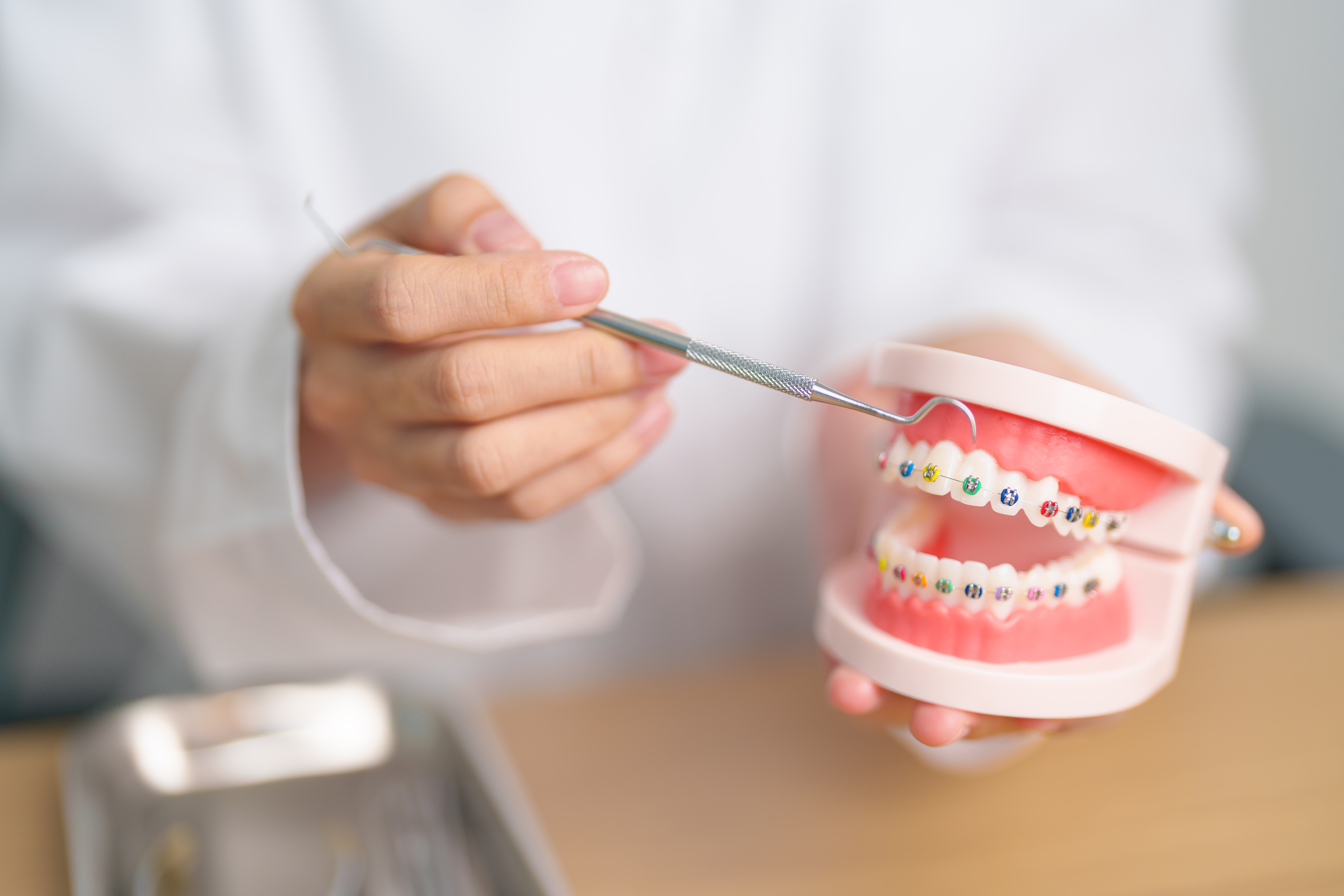 dentist holding a model of a mouth with braces