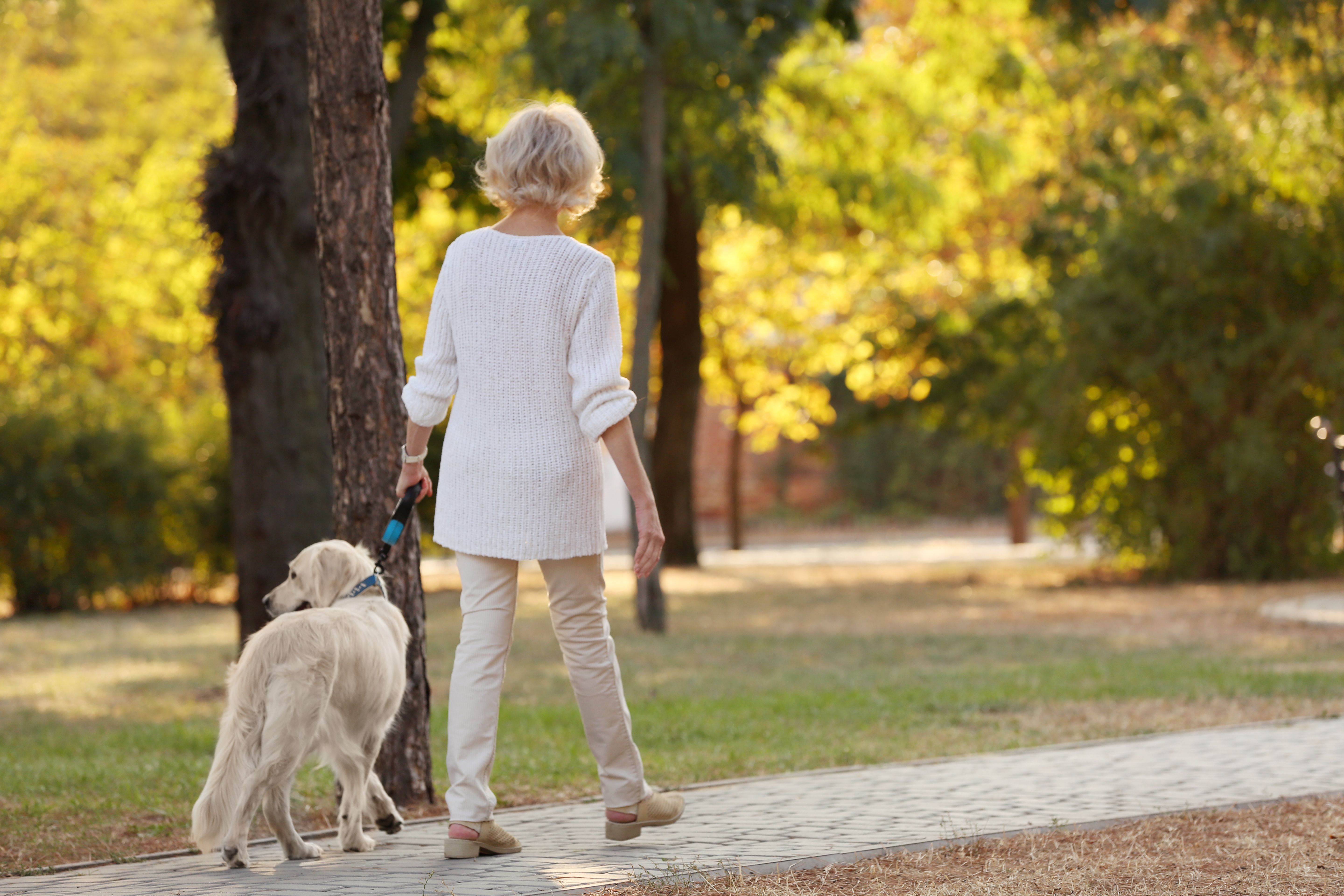 Woman walking dog